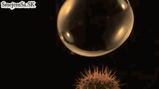 gif-bubble-cactus-slow-motion-1026025