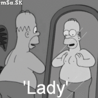 GIF: Homer pred zrkadlom