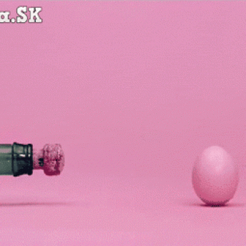 GIF: Šampus vs. vajce