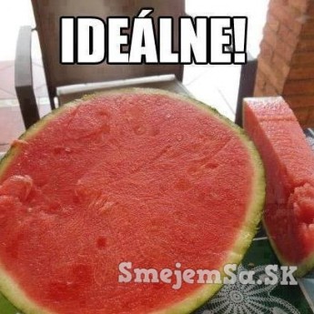 Ideálny melón